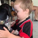 Meningococcal tragedy: A QLD family mourn the loss of their little boy who contracted the deadly disease this week