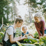 Spring has sprung: It’s time to build your organic veggie garden and reap the rewards