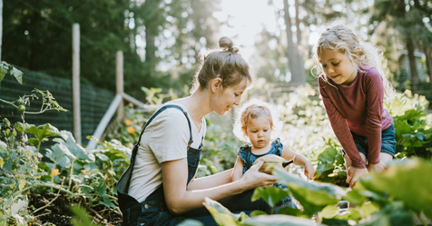 Organic vegetable garden at home: Tips and tricks| Bounty Parents