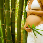 Amazing oils for pregnant skin