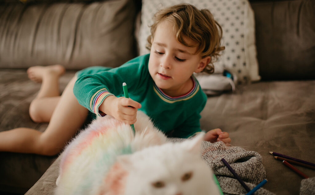 toddler boy painting a white cat