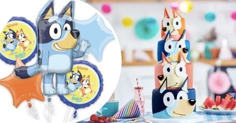 I threw my son an epic Bluey-themed birthday party but no kids came