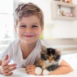 The top three child-friendly cat breeds, according to an animal behaviourist