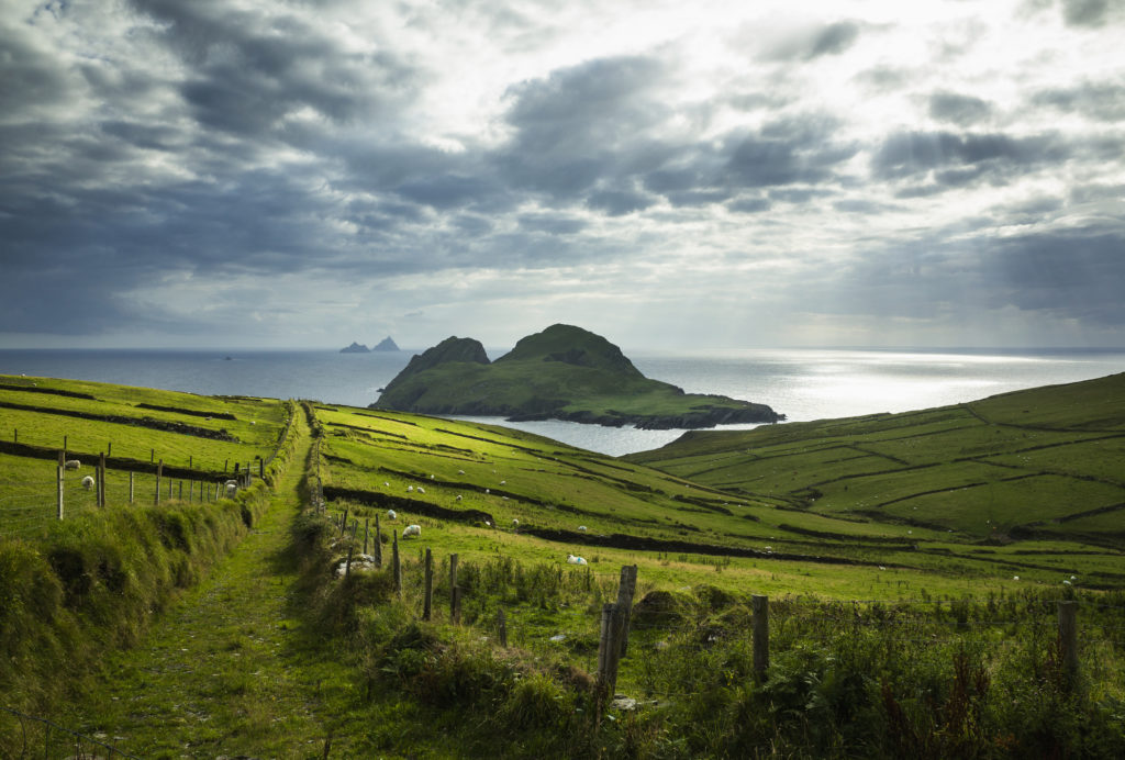 Ireland landscape