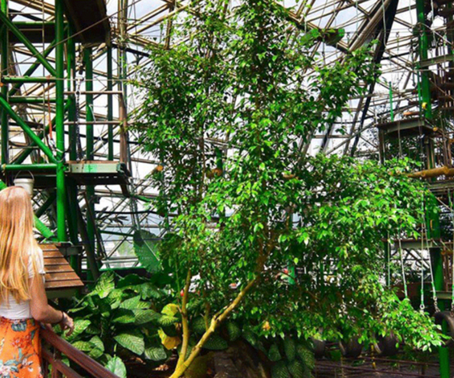 Cairns Zoom and Wildlife Dome
