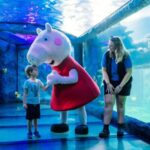 Things to do in Darling Harbour with kids