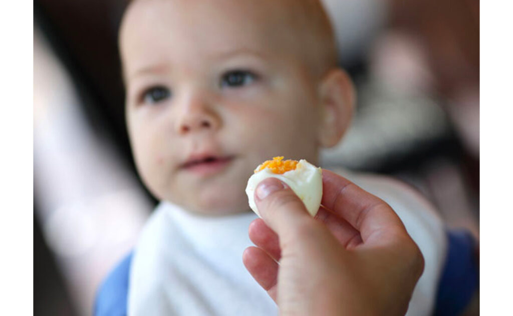 Young toddler in high chair being presented with a boiled egg to eat.