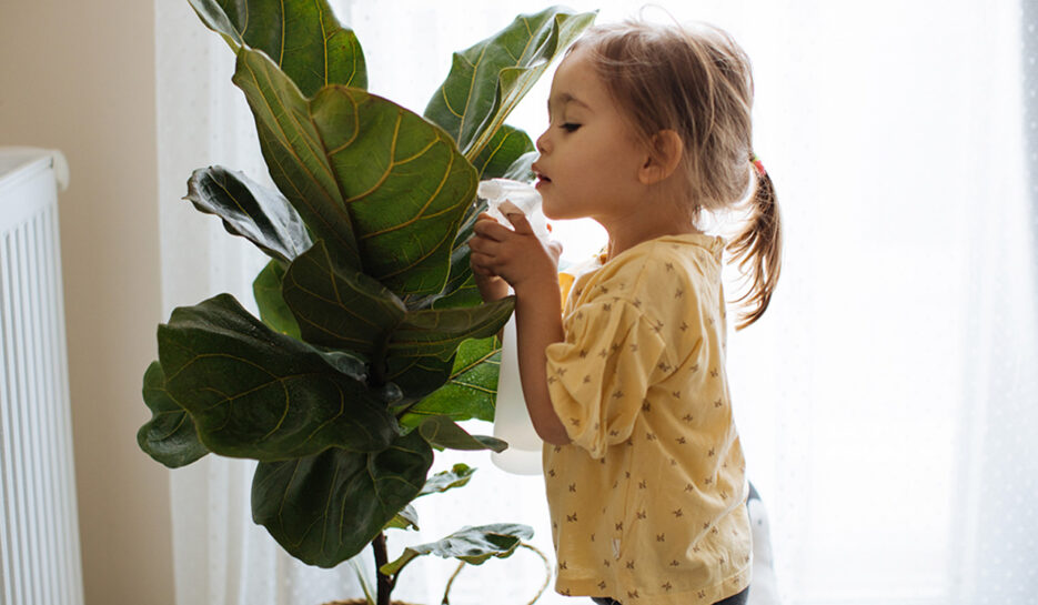 Non-Toxic(Safe) Plants for Your Kids: Top Child-Friendly Choices