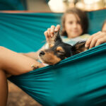 Boy and girl and their dog relaxing in hammock in camp which is located in forest. Behind them is tent. They looks very cute and happy, careless and playful.