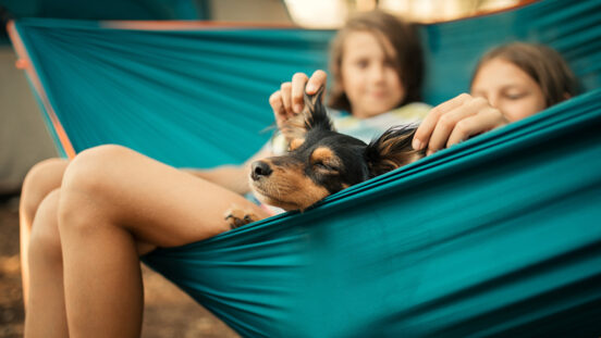 Boy and girl and their dog relaxing in hammock in camp which is located in forest. Behind them is tent. They looks very cute and happy, careless and playful.