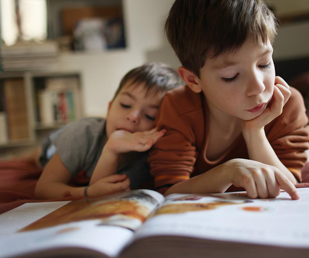 Young brothers reading