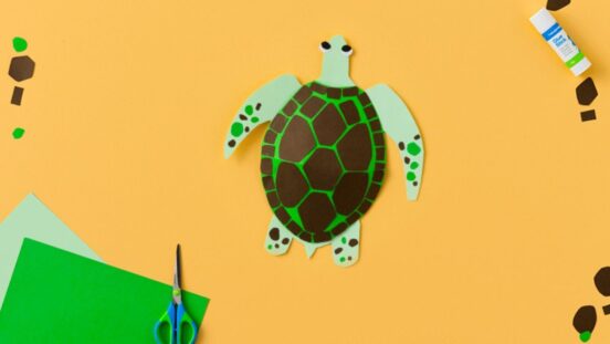 Naidoc Week: Paper turtle craft