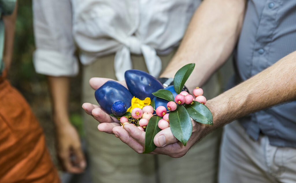 A demonstration of bush tucker at FNQ Nature Tours in Tropical North Queensland.