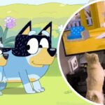 Dogs love watching Bluey