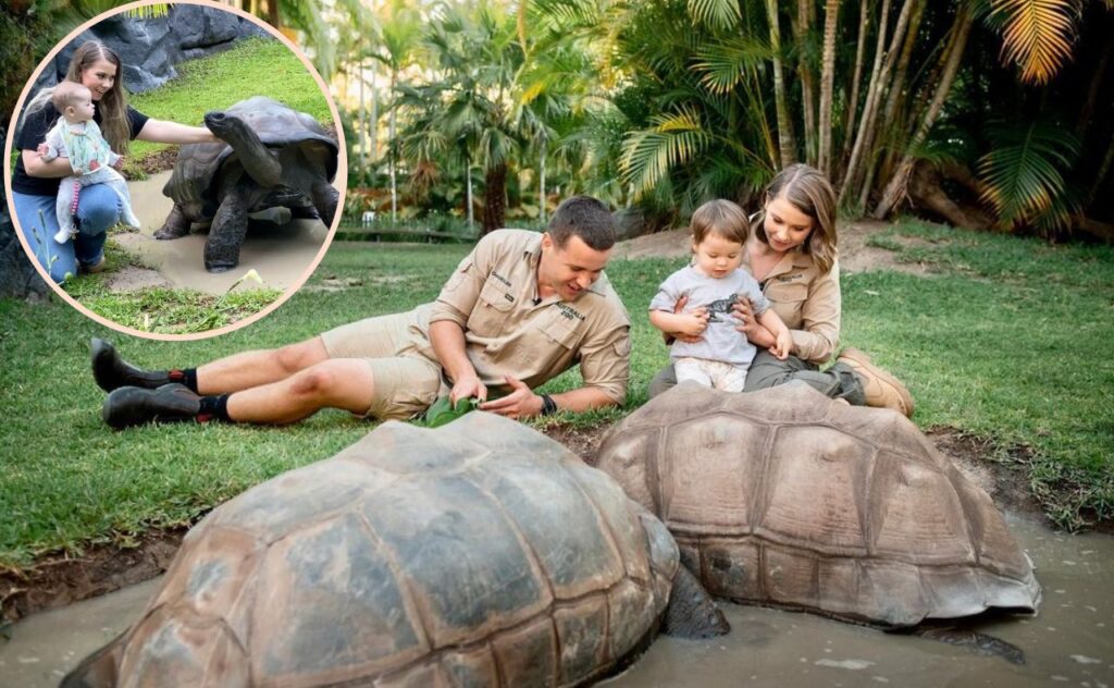 Grace, Bindi and Chandler with giant tortoises