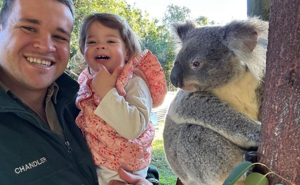 Grace and Chandler smiling next to a Koala that's looking at them from the tree next to them