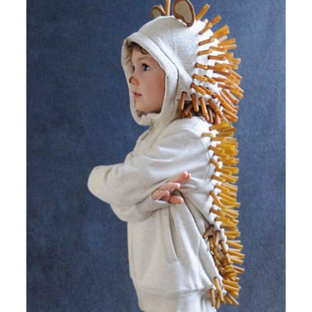 Hedgehog/ echidna halloween costume DIY