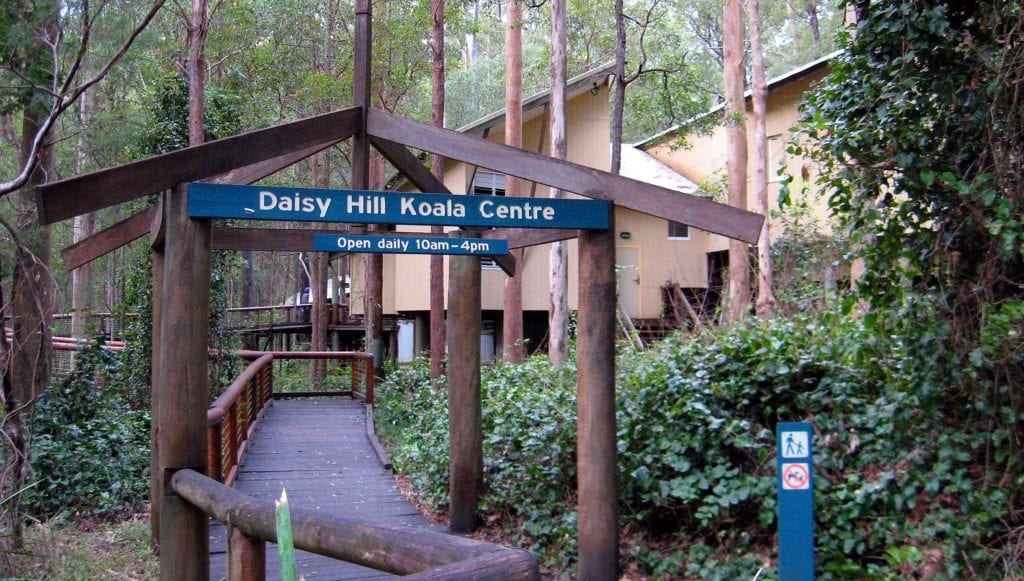 Daisy Hill Koala Centre, Brisbane