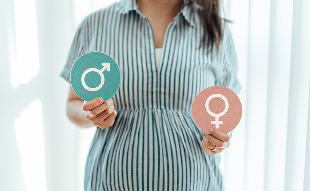 Midsection shot of a pregnant woman holding two cards with gender symbols, predicting the sex of her baby. Baby shower game ideas.