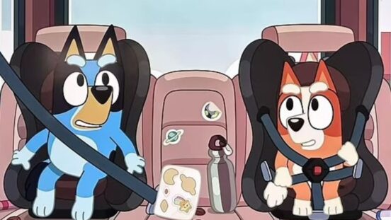 Bluey car backseat