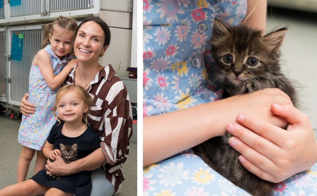 Laura will Marlie-Mae and Lola and their rescue kitten.