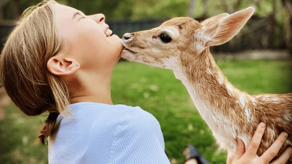 Brisbane Deer Sanctuary