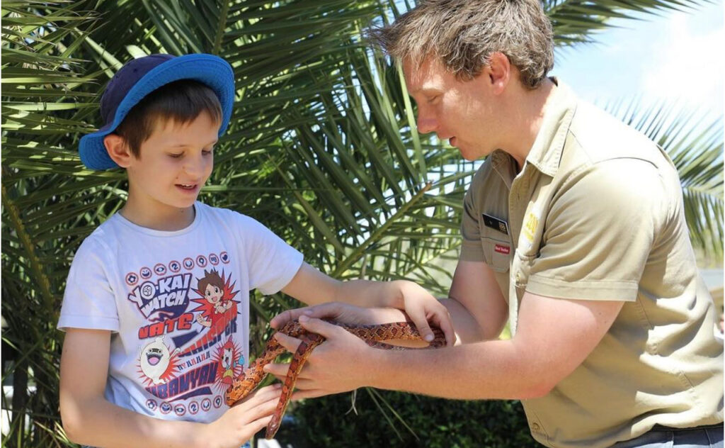 small child has a reptile encounter at canberra national zoo and aquarium