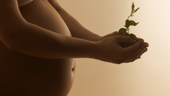 Pregnant woman holding sapling, mid section, close-up