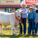 Young exhibitors with cattle at the Royal Adelaide Show